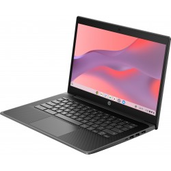 HP Chromebook Fortis G11 Intel® N N100 35,6 cm (14") Full HD 8 Go LPDDR5-SDRAM 64 Go eMMC Wi-Fi 6E (802.11ax) ChromeOS Gris